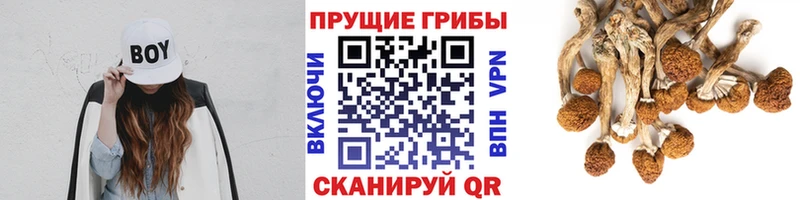 Галлюциногенные грибы GOLDEN TEACHER  ОМГ ОМГ зеркало  Нижняя Салда 