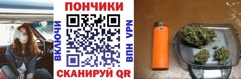 Конопля OG Kush  Нижняя Салда 